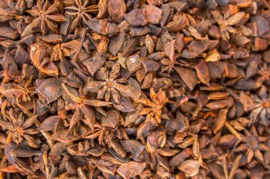 Sarı kahverengi baharatlı Badian, bulanık bir geçmişi var. Doğal yüzey dokusu