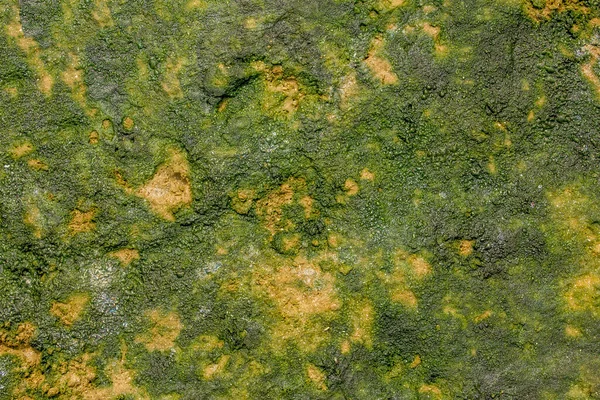 黄色の砂の壁型で損傷と緑の苔と 荒々しく自然な表面の質感 — ストック写真