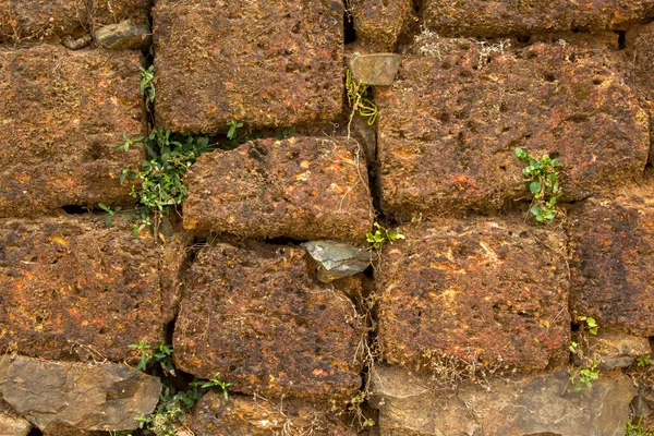 Mur Brun Jaune Pierres Volcaniques Différentes Tailles Avec Herbe Verte — Photo