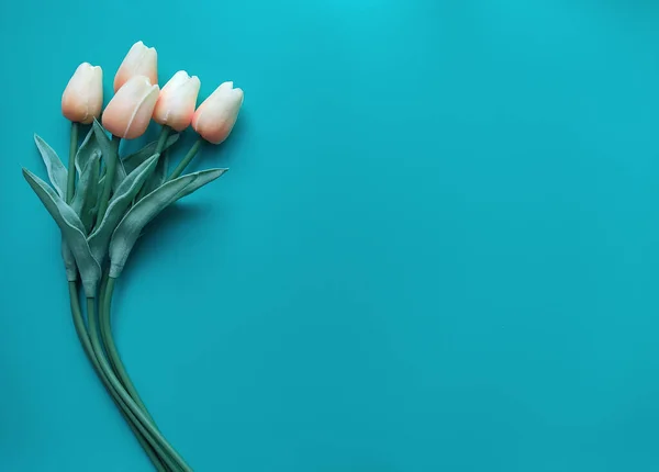 Turkuaz arka planda büyük beyaz bir plaka üzerinde turuncu parlak sarı dilimler. 