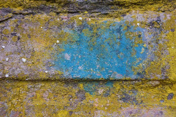 Çok sayıda düz olmayan çizgilerle kaplı canlı mor bir inşaat duvarı. 