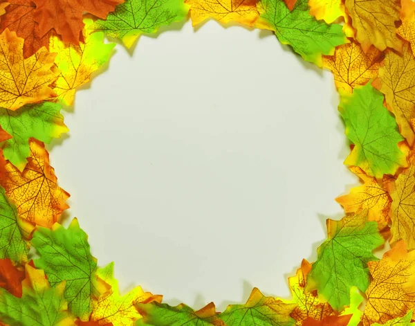 Yuvarlak çerçevenin üst görüntüsü, beyaz arkaplanda bir sürü küçük, yapay, sonbahar sarı yapraklarıyla oluşturuldu.