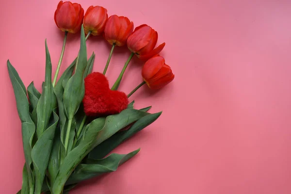 Yumuşak kırmızı oyuncak kalbin yukarısından canlı kırmızı laleler, uzun ince saplı ve pembe arka planda yeşil yapraklar.