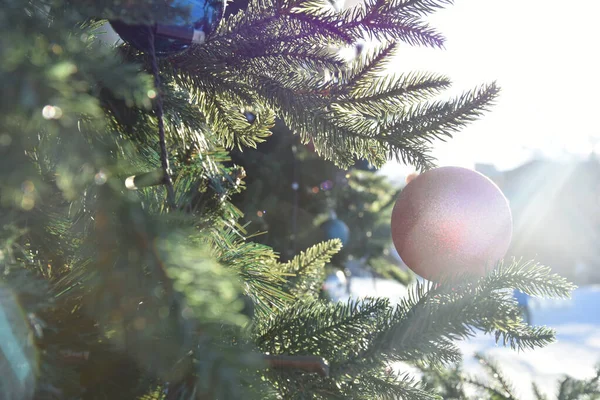 阳光下公园内小圆发光体圣诞树装饰的选择性聚焦 — 图库照片