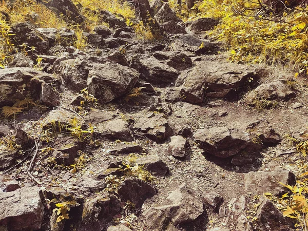 Yukarıdan bir sürü gri kaya ve vadideki sarı çimenler.