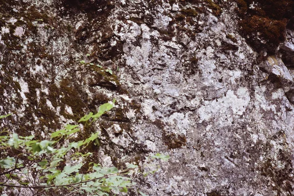 Vista Superior Musgo Manchas Superficie Vieja Montaña Descuidada Desigual Canyo — Foto de Stock