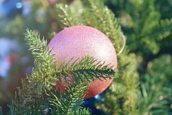 Açık pembe parlak süslemenin seçici odağı güneş ışığında parktaki Noel ağacına takılabilir. 