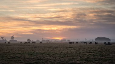 Kaliforniya 'nın kırsal kesimlerinde gün batımı, ahır, Humboldt, California