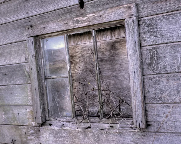 Abandoned Barn — Stock Photo, Image