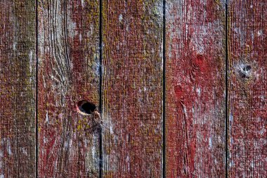 BarnWood
