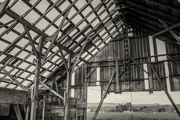 Terk edilmiş ahır, siyah beyaz resim