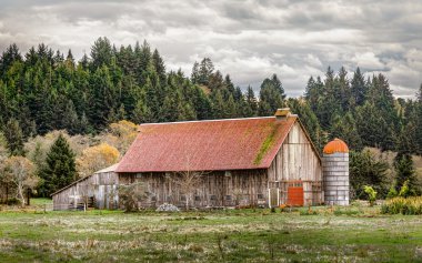 Old Abandoned Barn, Color Image