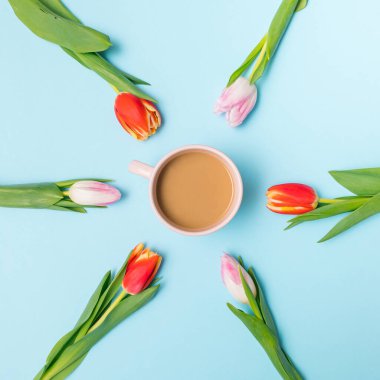 Kahve fincanının etrafında pembe ve kırmızı lalelerden oluşan yaratıcı bir bahar düzenlemesi. Asgari pastel bileşim.