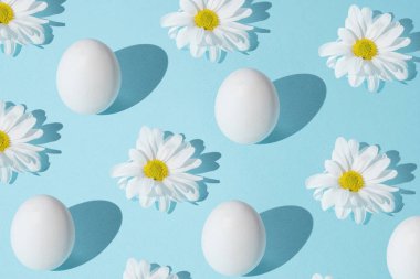 Paskalya yumurtaları ve papatya çiçekleriyle yaratıcı pastel bahar arkaplanı. Moda, asgari bahar konsepti.