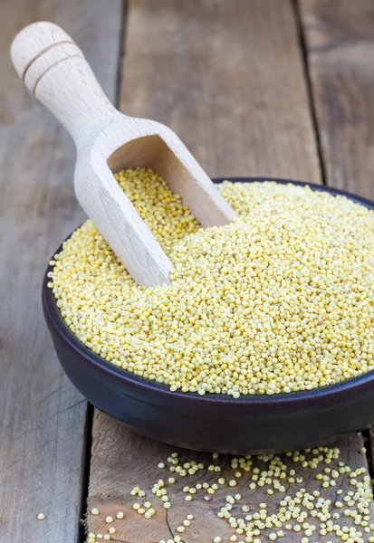 Organic millet groats in a ceramic bowl on wooden table — Stock Photo, Image