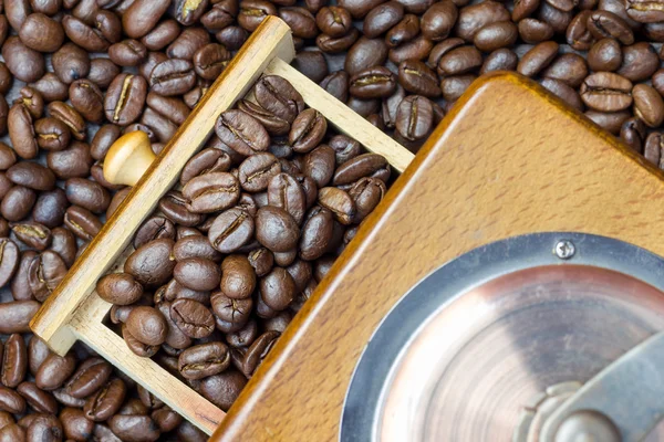Granos de café fragantes en molinillo de café, de cerca — Foto de Stock