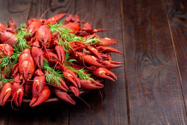 Dereotlu, koyu ahşap arka planlı, yatay, kopyalama boşluğuyla servis edilen seramik tabakta kerevitler.