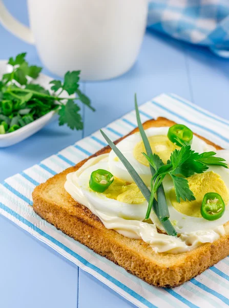 Breakfast sandwich with eggs, parsly, green onion and green chili pepper — Stock Photo, Image