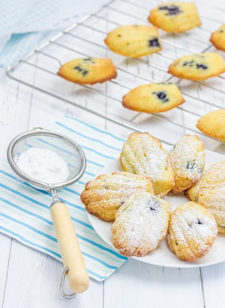 Azúcar en polvo madeleines caseros con arándanos —  Fotos de Stock