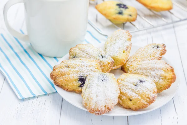 Cukor porított madeleines, áfonyával — Stock Fotó