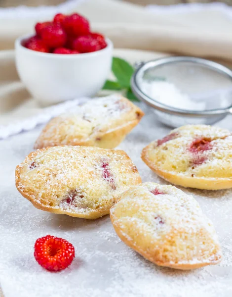 Madeleínas en polvo de azúcar con frambuesa —  Fotos de Stock