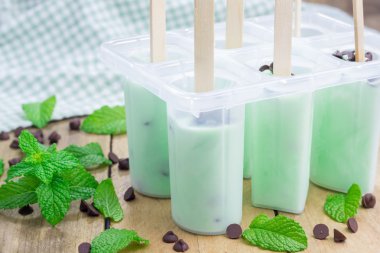 Nane ve çikolata parçaları yoğurt dondurmayı kalıpları içinde