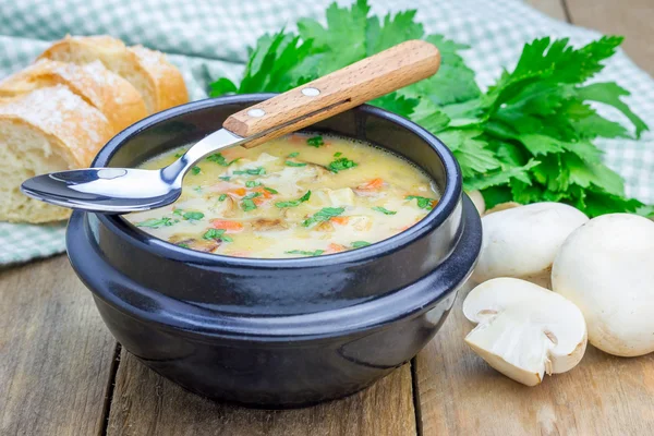 Домашній грибний суп з куркою — стокове фото