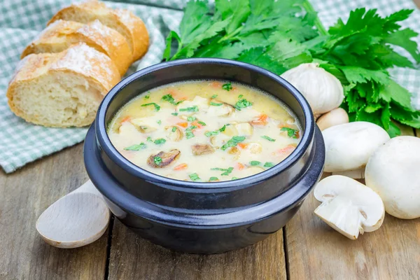 Homemade mushroom soup with chicken — Stock Photo, Image