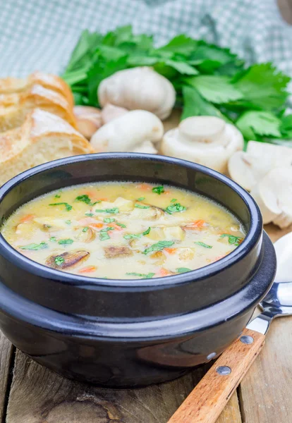 Homemade mushroom soup with chicken — Stock Photo, Image