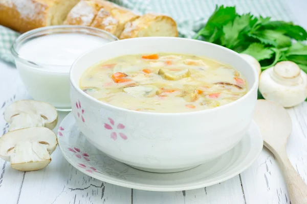 Домашній грибний суп з куркою — стокове фото