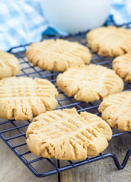 Frissen sült házi mogyoróvaj cookie-kat a hűtő állvány — Stock Fotó