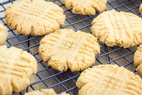 Frissen sült házi mogyoróvaj cookie-kat a hűtő állvány — Stock Fotó