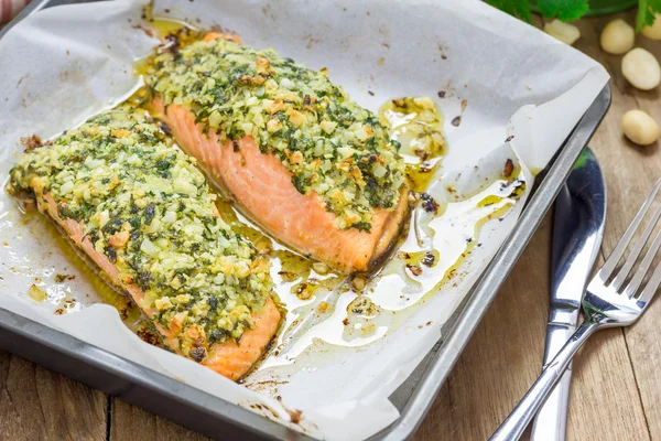 Salmão assado com crosta de macadâmia-coentro em uma assadeira — Fotografia de Stock