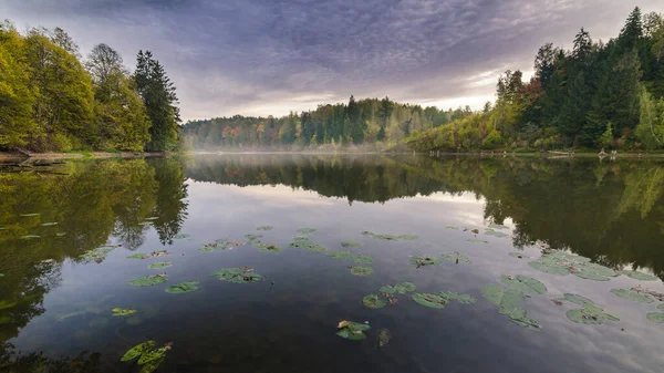 Underbar Färgstark Höstdag Med Vacker Skrivbordsbakgrund Fantastisk Natur Litauen — Stockfoto