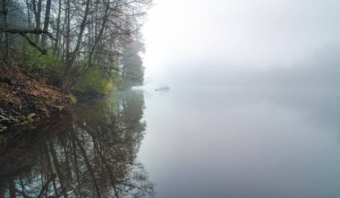 Şaşırtıcı, mistik, eşsiz, sisli bir bahar sabahı.