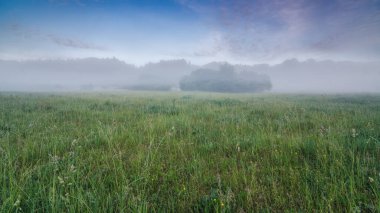 Şaşırtıcı, mistik, eşsiz, sisli bir bahar sabahı.