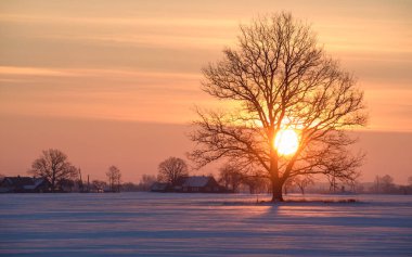 Raseiniu bölgesi, Litvanya. 02-19-2021
