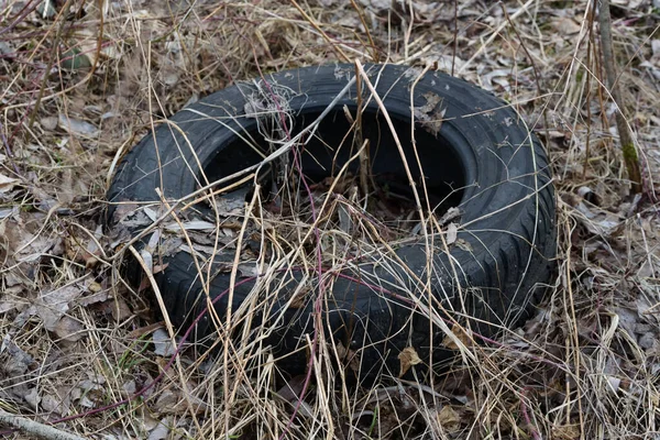 Incredible human ignorance of tire pollution, river wildlife. Car tires in nature.