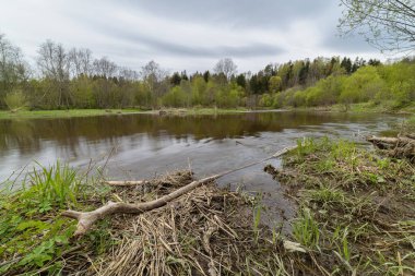Dubysa nehrinin yanında bahar manzarası.