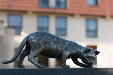 Şaşırtıcı kedi heykelleri, güzel hayvanlar..