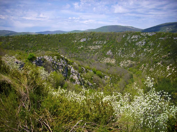 Vackert Landskap Vid Gorges Verdon Södra Frankrike Molnig Dag Sommaren — Stockfoto