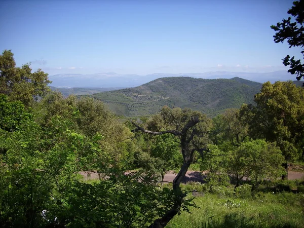 Road Leading Mountains South France Saint Tropez Nice — Stock Photo, Image