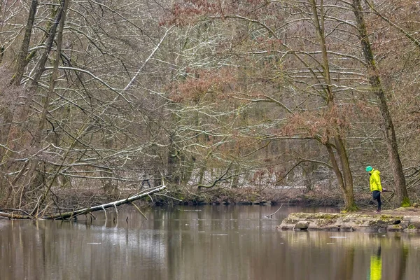 Neve Galhos Uma Árvore Pequeno Lago Chamado Jacobiweiher Não Muito — Fotografia de Stock