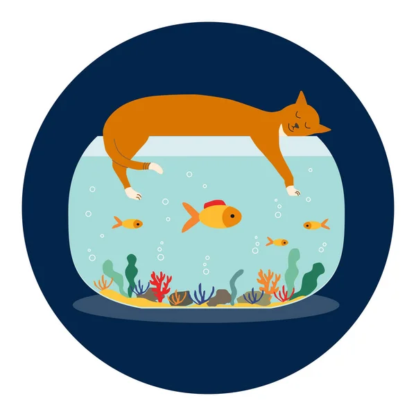 Pez Dorado Pecera Lindo Gato Lindo Gato Estira Duerme Acuario — Vector de stock