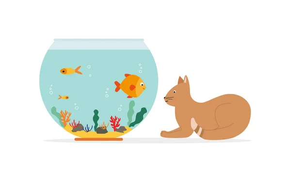어항의 금붕어와 귀여운 고양이 금붕어 수영하는 아쿠아리움 수족관과 식물들의 서식지이다 — 스톡 벡터