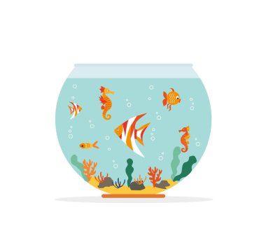Goldfish in fishbowl. Aquarium with swimming gold exotic fish. Underwater aquarium habitat with sea plants. Flat vector drawn illustration, isolated objects. clipart