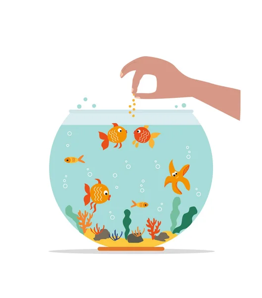 Goldfisch Fischschale Aquarium Mit Schwimmenden Goldfischen Fische Füttern Unterwasser Aquarium — Stockvektor
