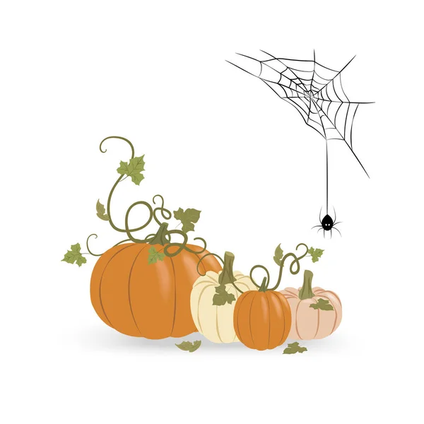 Orange Weiße Kürbisse Mit Spinne Und Spinnweben Isoliert Auf Weiß — Stockvektor