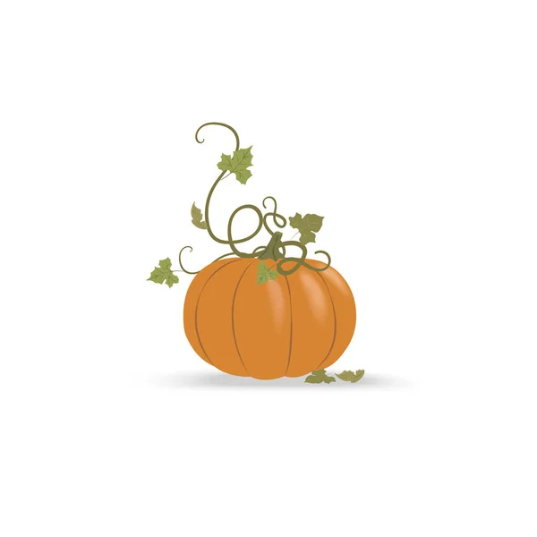 Orangefarbener Kürbis Mit Grünen Blättern Auf Weißem Untergrund Herbsternte Für — Stockvektor