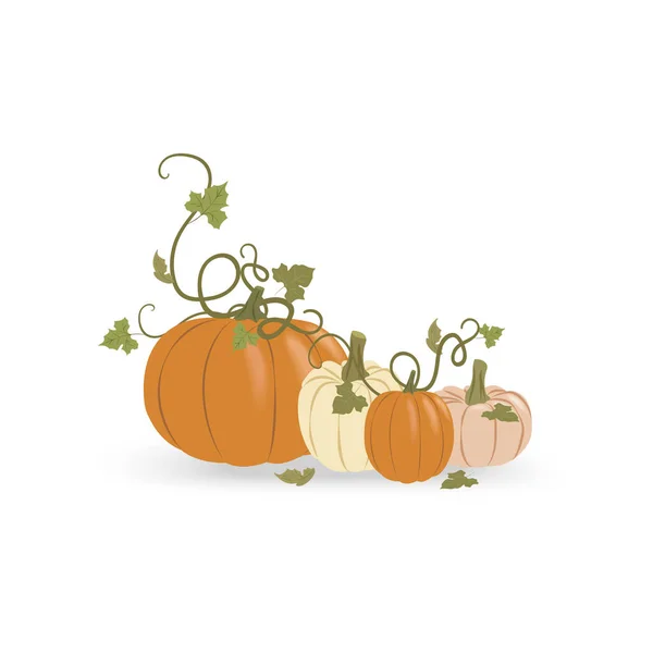 Orangefarbene Weiße Kürbisse Mit Grünen Blättern Auf Weißem Untergrund Herbsternte — Stockvektor